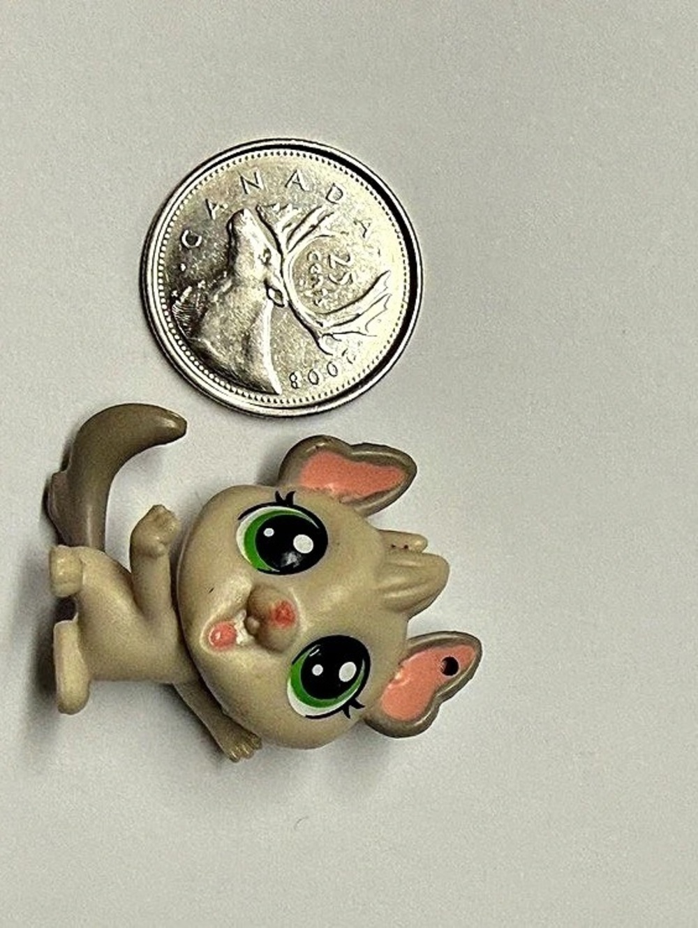 Hasbro Littlest Pet Shop #136 Chenille Chilla